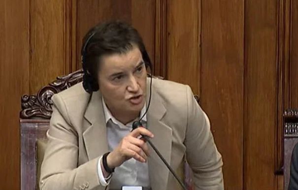 Istakla je da veći problem od toga što se Austrija, prema njenim riječima, grubo umiješala u unutrašnja pitanja Srbije, jeste stav studenata prema sopstvenoj zemlji.