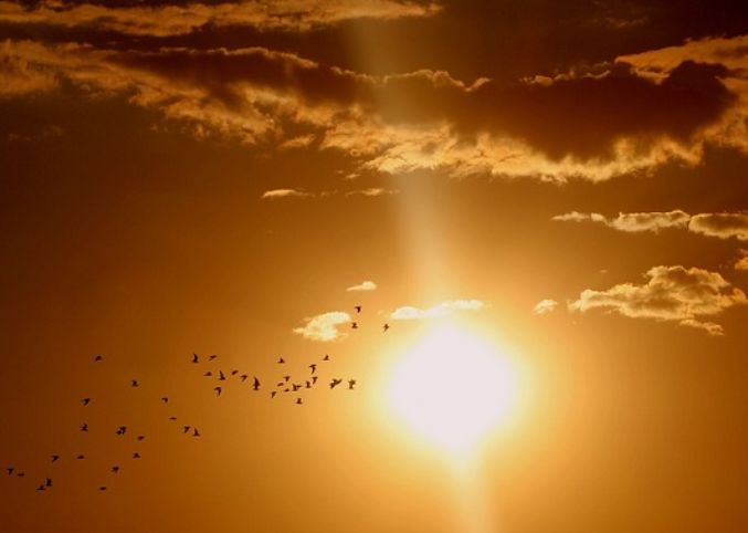 Ako globalno zagrijavanje pređe četiri stepena Celzijusa, urbani požari mogli bi uzrokovati do 300.000 smrtnih slučajeva i više od milion povrijeđenih širom svijeta.