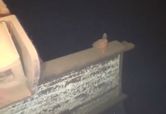 Ostaci američkog parobroda Western Rizerv, koji je nestao prije 132 godine, pronađeni su u jezeru Lake Supirior, prenose američki mediji.