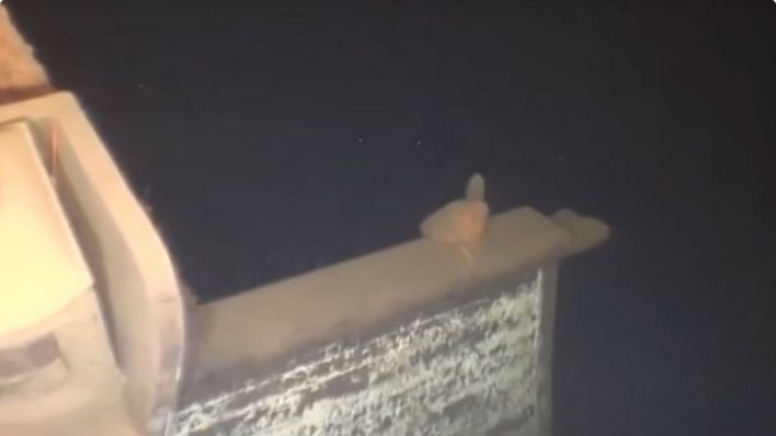 Parobrod je smatran za jedan od najbržih i najbezbjednijih svog vremena, ali je ipak potonuo tokom oluje