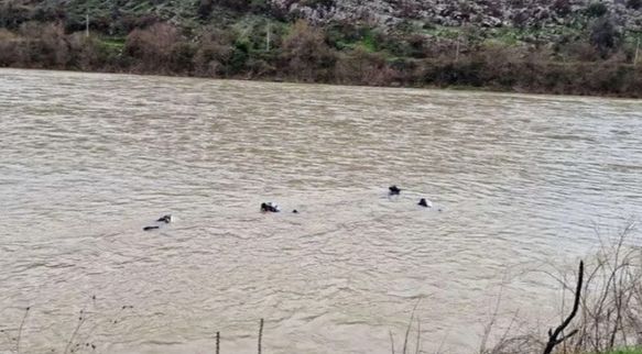 Crnogorska policija se oglasila nakon pronalaska tijela djeteta u rijeci