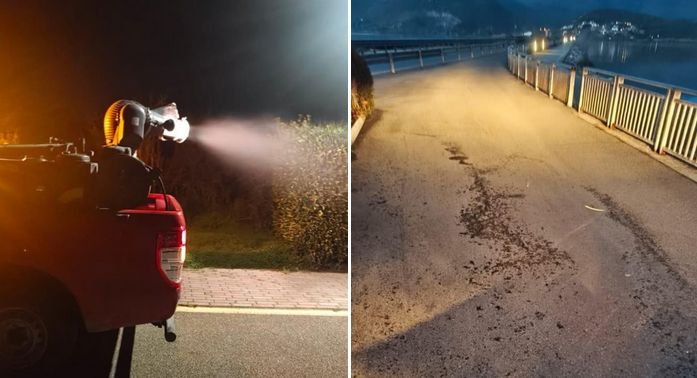 Invazija insekata u turističkom gradu: Zatvorene pošte i trgovine, ljudi zatvoreni u kućama
