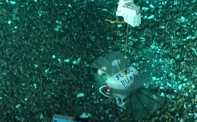 Kinezi razvijaju robote koji mogu doći do dubine od 10.000 metara u moru