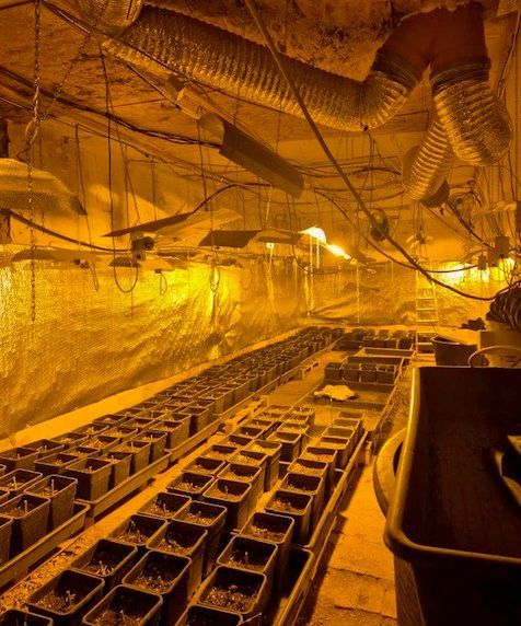 function r(){if(it(n),n.value===Hm){let o=null;throw new D(-950,o)}return n.value}