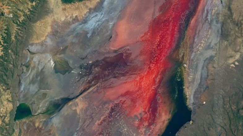 Jezero Natron nije samo vizuelno fascinantno – ono je jedno od najopasnijih mjesta na Zemlji