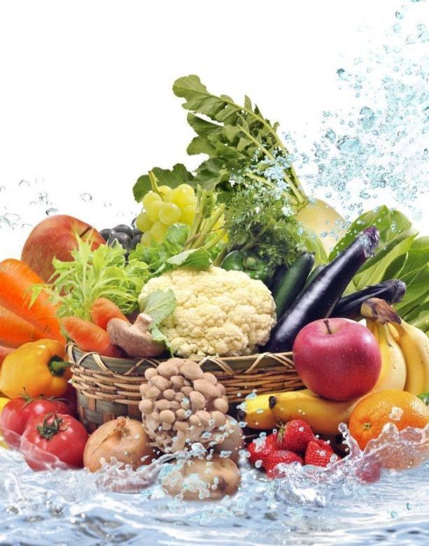 Jedna studija objavljena u naučnom časopisu “The Lancet” izvještava o prekomjernoj konzumaciji crvenog i prerađenog mesa, soli i šećera i nedovoljno voća, povrća i mahunarki.