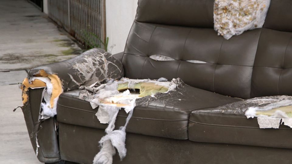 Tijelo mlade žene bilo je u takvom stanju, da su ga mediji kasnije opisali kao "stopljeno" u trošni kauč