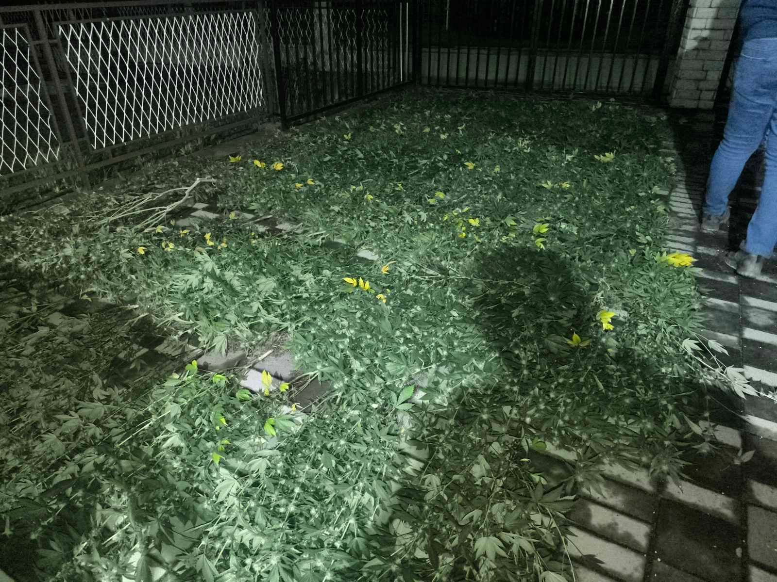 Sarajevska policija zadala veliki udarac narkomafiji