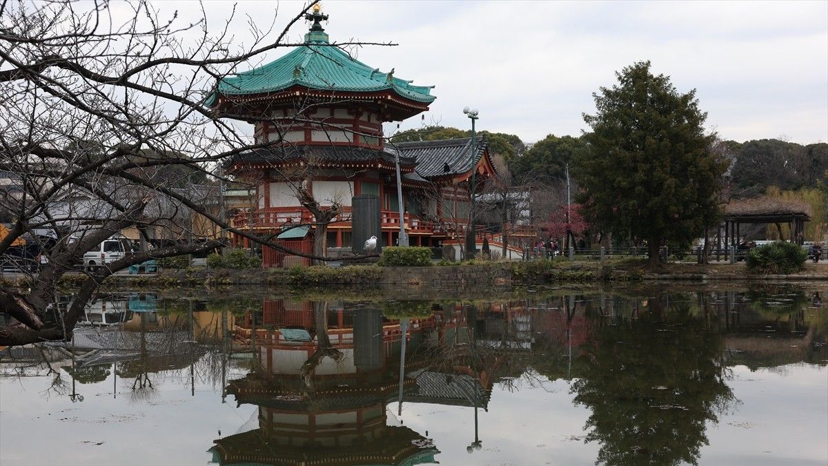 Proljeće u Tokiju: Prekrasni prozori privukli turiste iz raznih krajeva svijeta