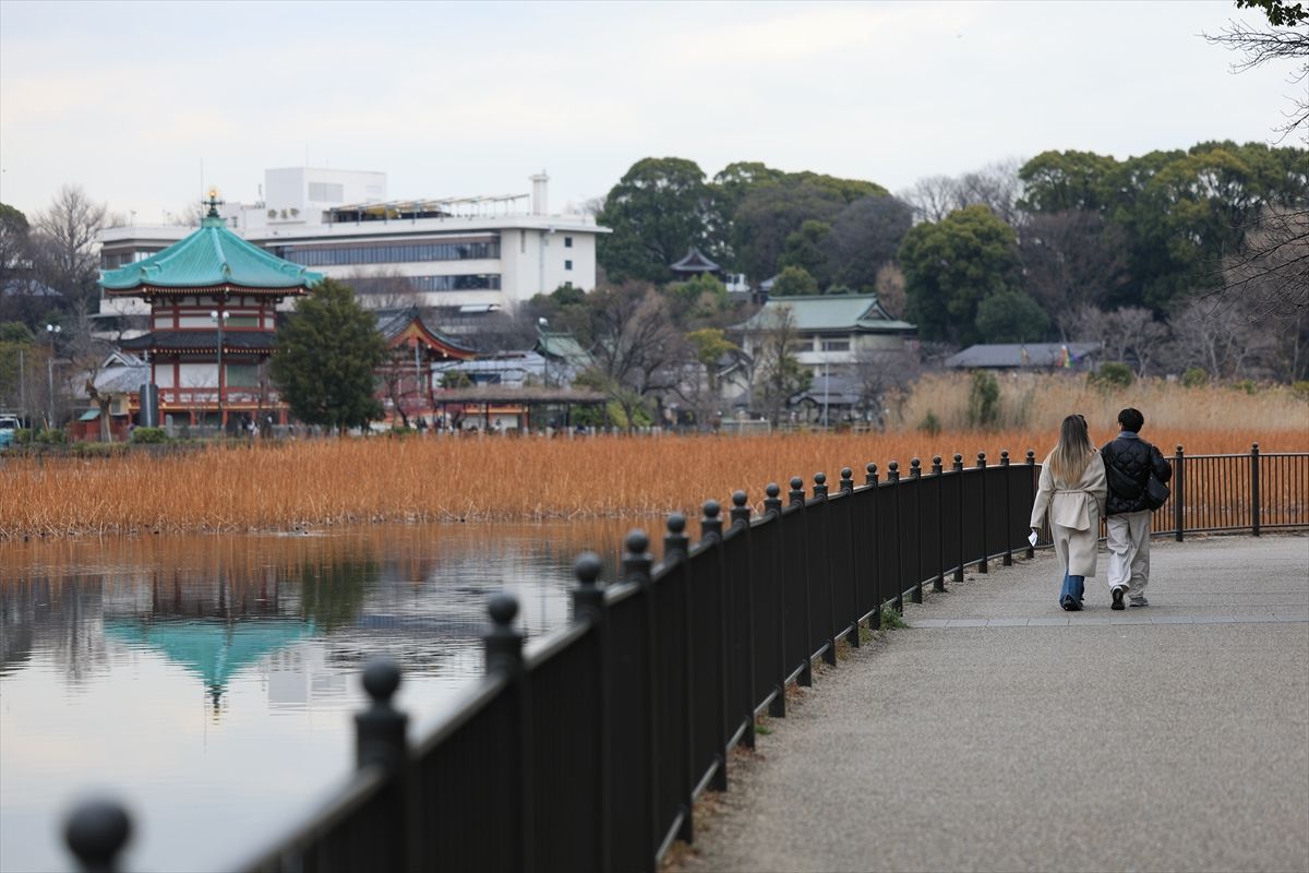 Tokio skriva mnoštvo predivnih parkova koji su prave oaze mira i nevjerojatne prirodne ljepote