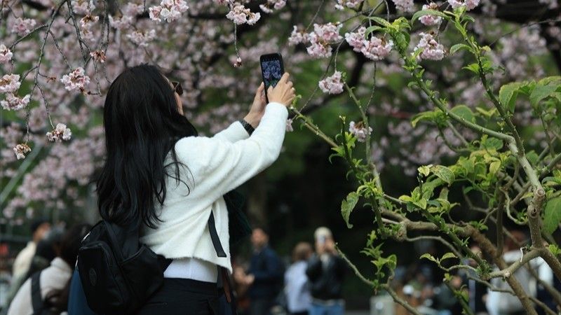 Proljeće u Tokiju: Prekrasni prozori privukli turiste iz raznih krajeva svijeta