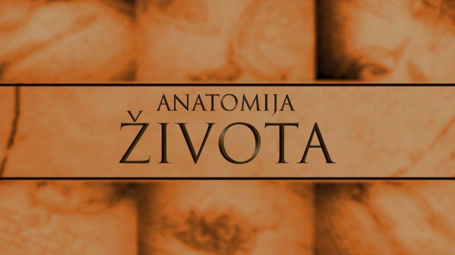 Ljekovito bilje – prirodna medicina pod lupom