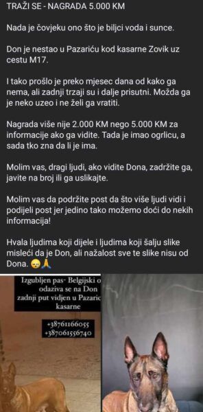 Pas naziva Don nestao je kod kasarne u Zoviku, koja se nalazi neposredno uz cestu M17.