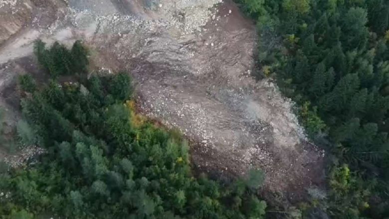 function r(){if(it(n),n.value===Hm){let o=null;throw new D(-950,o)}return n.value}