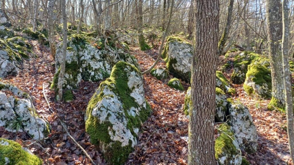 Lokacija do sada nije dokumentovana od strane arheologa ili historičara