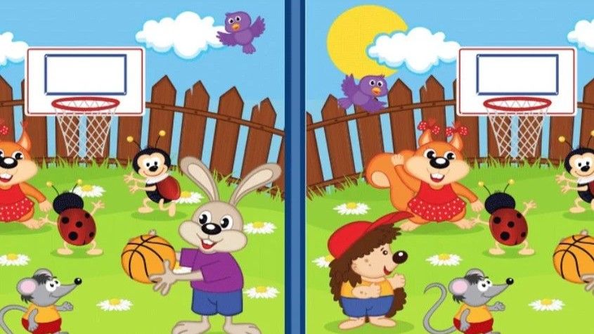 One jačaju veze između moždanih ćelija, što pomaže u unapređenju memorije