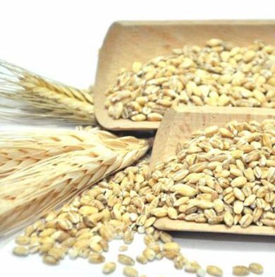 Ječam je nutritivno bogata žitarica koja je pala u sjenku ostalih, popularnijih vrsta. 