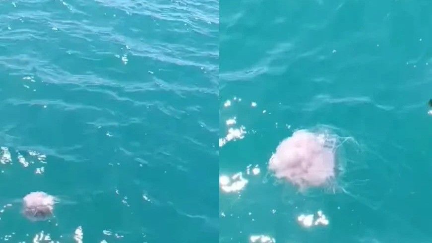 Turistima koji planiraju posjetiti Neum ovo ljeto, savjetuje se povećan oprez