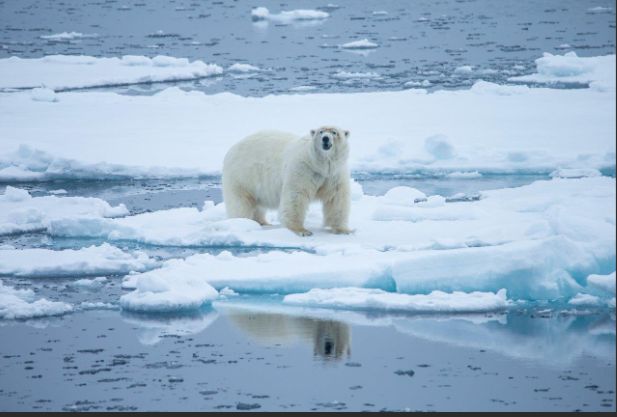Učinak topljenja leda u današnje vrijeme nadmašuje prirodni fenomen poznat kao glacijalna izostatska prilagodba