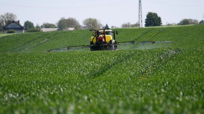 Padavina je bilo i previše tako da je na mnogim dijelovima, onim nižim, voda utušila pšenicu, govori Marošević