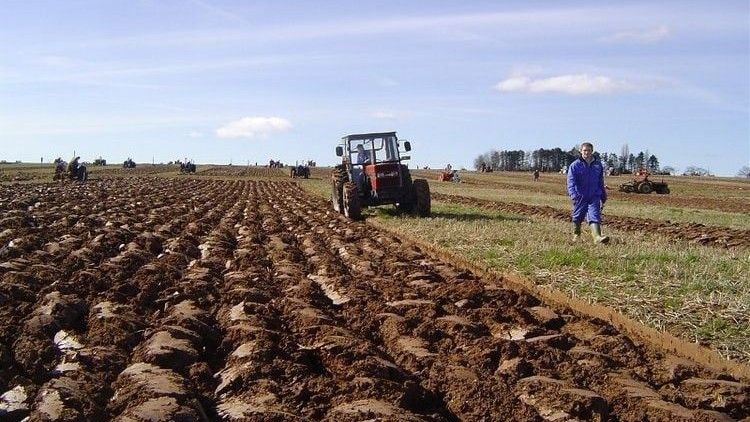 Padavina je bilo i previše tako da je na mnogim dijelovima, onim nižim, voda utušila pšenicu, govori Marošević