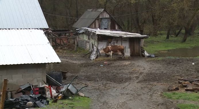 Njihova trošna štala vapi za obnovom, ali su dosad svaki put odbijeni kada su tražili donacije. 
