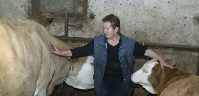Njihova trošna štala vapi za obnovom, ali su dosad svaki put odbijeni kada su tražili donacije. 