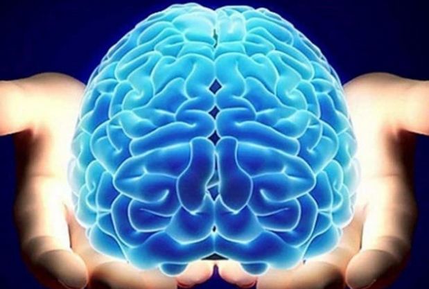 Kanadska studija otkrila je da osoba može pomladiti svoj mozak za 10 godina ako na dvije sedmice isključi internet na svom pametnom telefonu.