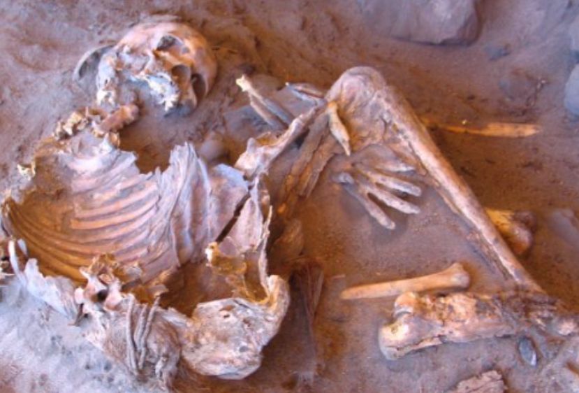 Zamislite Saharu – i na pamet vam odmah padne negostoljubiv pejzaž beskrajnih pješčanih dina i ogoljene stijene.