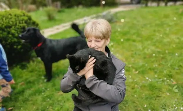 Mačak Pandi proveo je 11 dana na boru: Kad smo došli do njega, samo je skočio dolje...