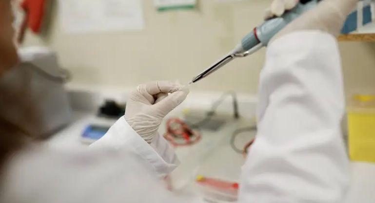 Mađarski stočni fond iznosio je 861.000 grla na temelju popisa stoke u prosincu, što se malo promijenilo u odnosu na godinu dana ranije