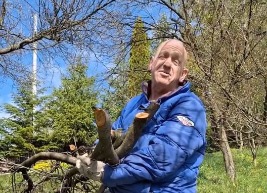 Još prije desetak godina se mogao naći i neki pomoćnik, kazao je Fazla