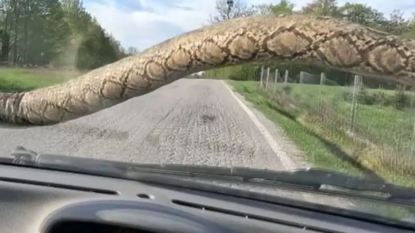 Ističe da je u tom trenutku bio priseban i gledao u traku na sredini kako se ne bih slupao