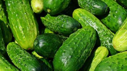 Zalijte papriku, krastavce i paradajz ovim rastvorom i rađat će kao nikad