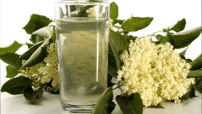 Starinski recept za sirup od zove