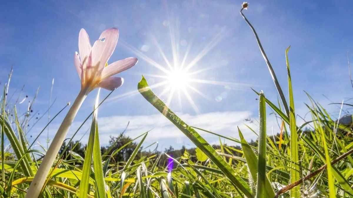 Pred nama je sunčan period: 1. maja temperature do 28 stepeni