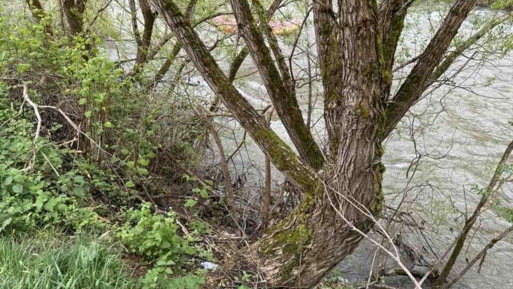 Tijelo je u vodi među granama primijetio prolaznik o čemu je obavijestio Policijsku stanicu 