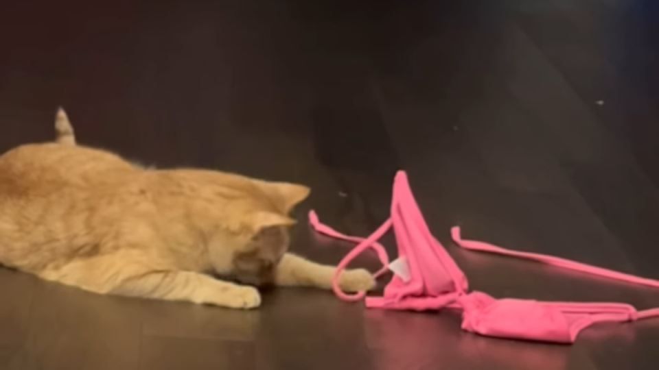 Prešao je ''igricu'' pa je za njega najzabavniji pink bikini od kojeg se ne odvaja