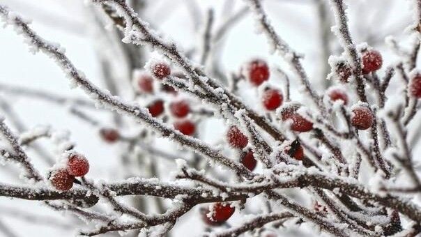 Danas će u našoj zemlji preovladavati sunčano vrijeme uz malu do umjerenu oblačnost