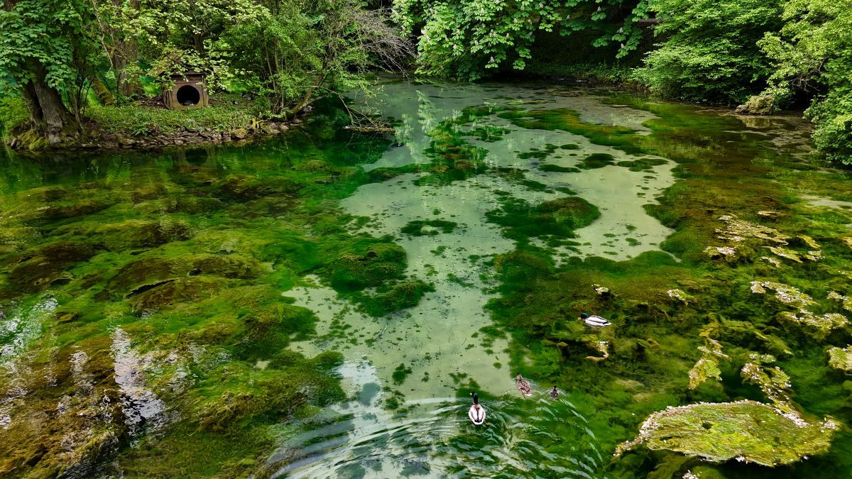 Bogatstvo prirode ovog područja, koje privlači veliki broj turista je ponajviše u čistoj vodi, prirodi, čistom zraku i zelenim površinama