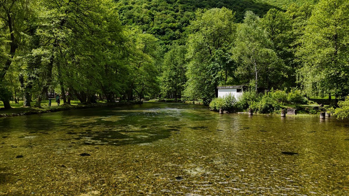 Uživajte u prirodnim ljepotama naše države: Jedno od njih je i Vrelo Bosne
