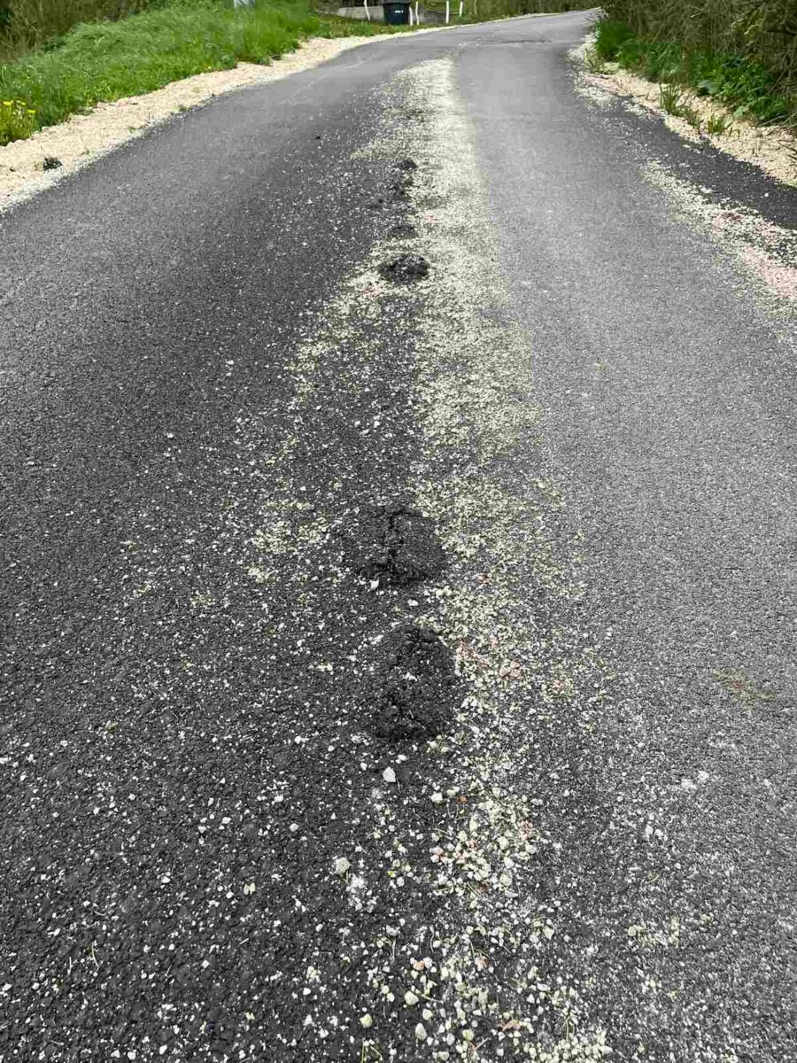 Građani ogorčeni: Trava raste iz novoasfaltiranog puta u koji je uloženo 75.000 KM