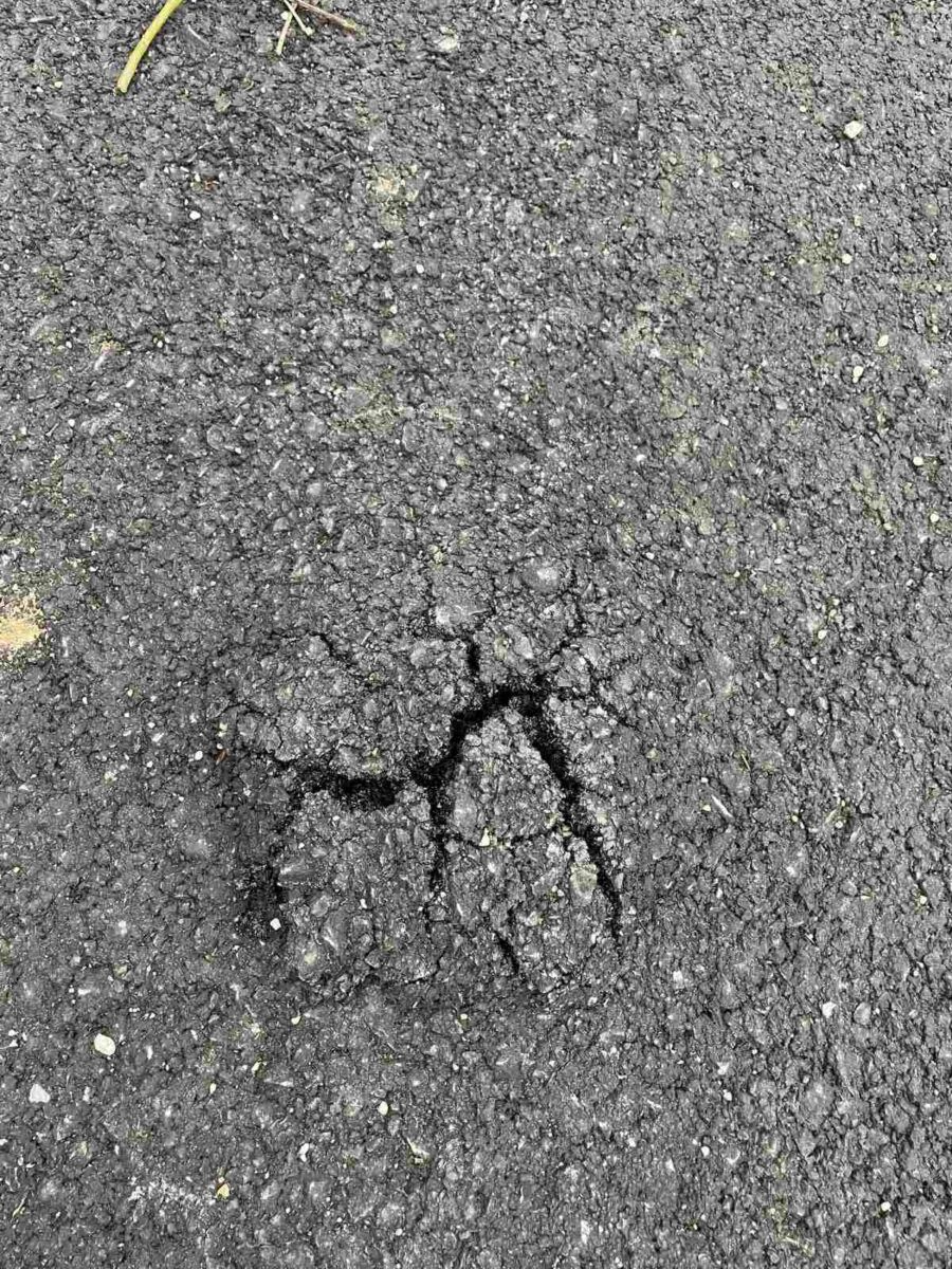 Posebno ih boli činjenica da se nadležne institucije, uključujući Grad Zenicu, za sada ne oglašavaju niti poduzimaju mjere protiv izvođača radova