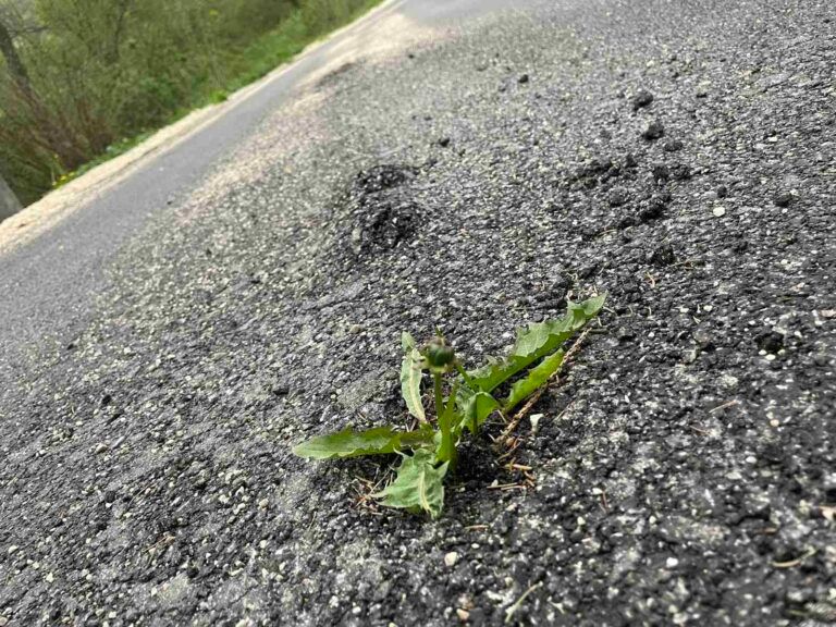 Posebno ih boli činjenica da se nadležne institucije, uključujući Grad Zenicu, za sada ne oglašavaju niti poduzimaju mjere protiv izvođača radova
