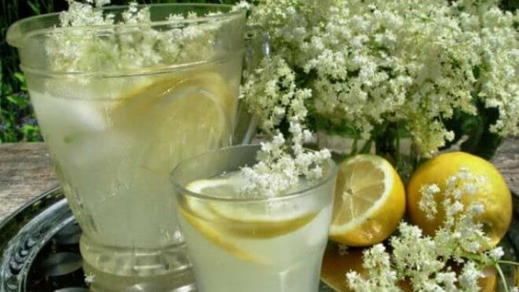 Počinje sezona jedne od najljekovitijih biljaka: Donosimo recept za domaći sirup od bazge bez šećera