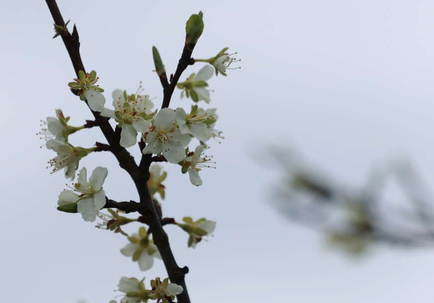 Narednih dana, bar do sredine sljedeće sedmice, odnosno 15. maja, biće manje nestabilnog i nešto više sunčanog vremena. 