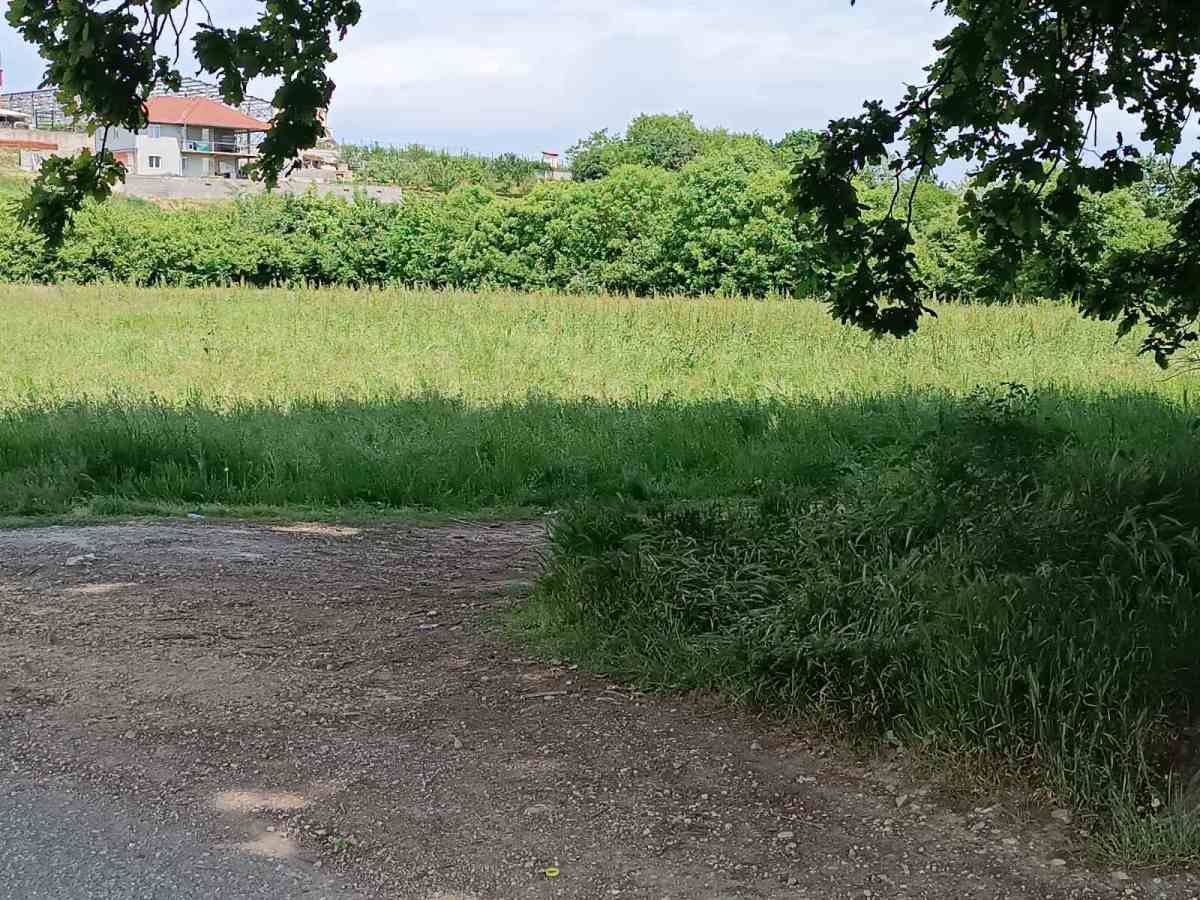 Ubijena žena je prijavljivala bivšeg supruga zbog čega mu je izricana i hitna mjera