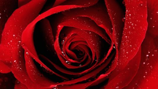 Naizgled jednostavno pitanje – „Koja ti je omiljena boja?“ – često krije dublje značenje nego što bismo pomislili