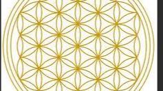 Iako se cvijet života često povezuje sa ženskom energijom, on zapravo obuhvata i mušku energiju. Tačke u simbolu predstavljaju mušku energiju, dok krive linije simbolizuju žensku