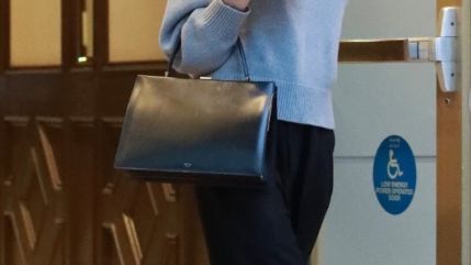 Istraživanje koje je 2013. godine proveo “initial Washroom Hygiene” otkrilo je da torbice sadrže više bakterija nego WC školjke u javnim toaletima